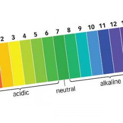 PVA Ph neutral??!!